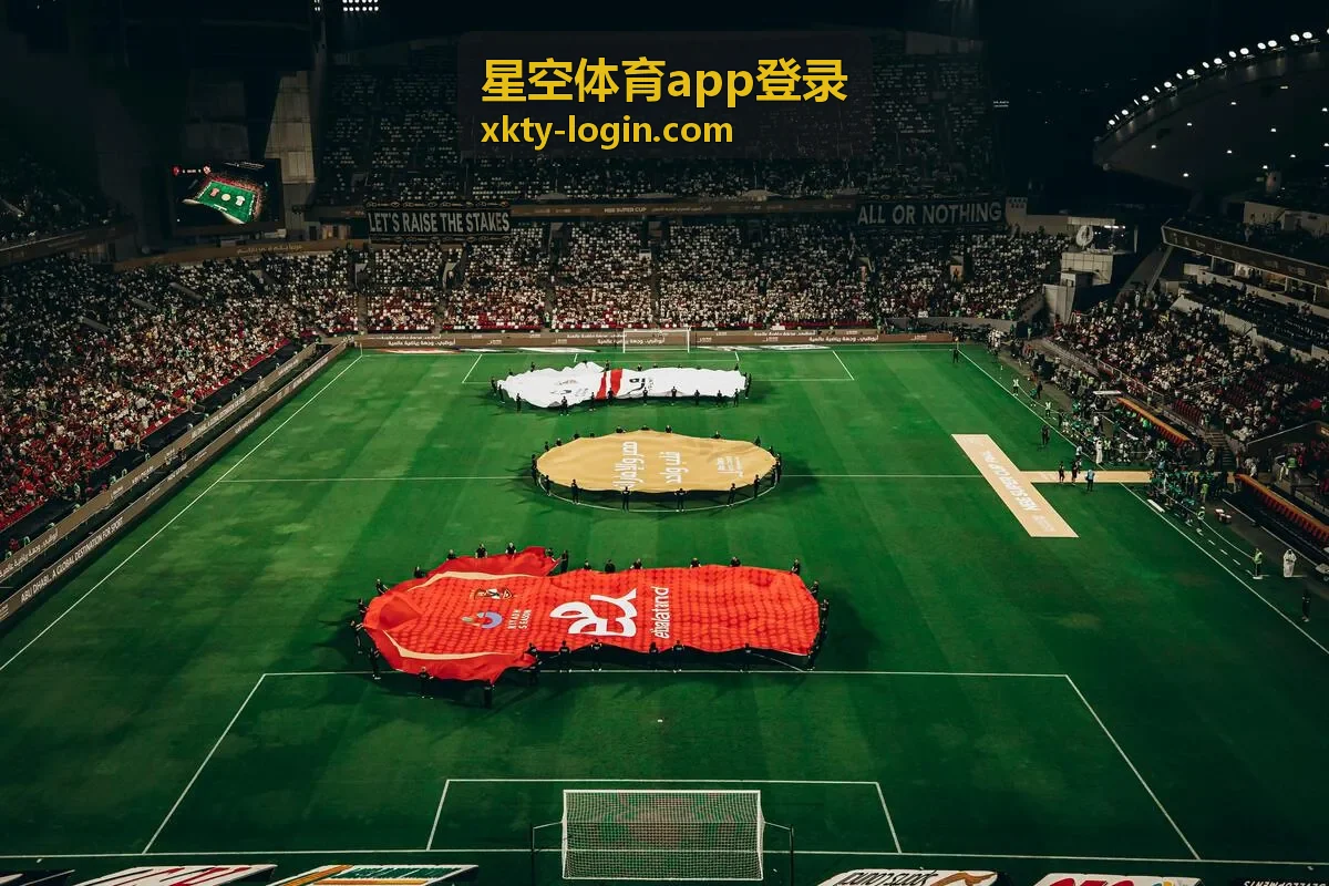 星空体育app登录体育社区案例