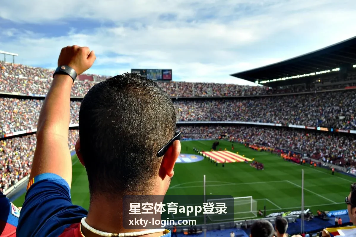 星空体育app登录国际赛事案例